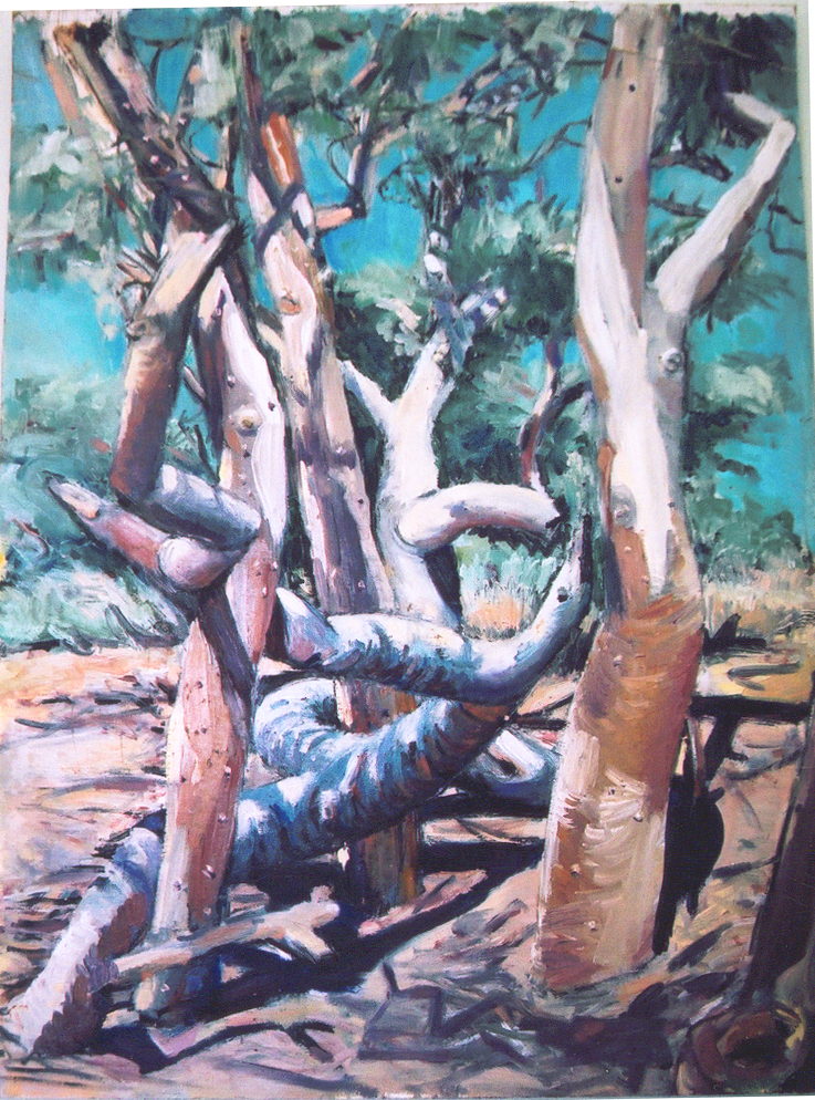 Dry River Bed, 1988